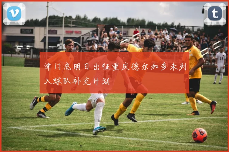 津门虎明日出征重庆德尔加多未列入球队补充计划