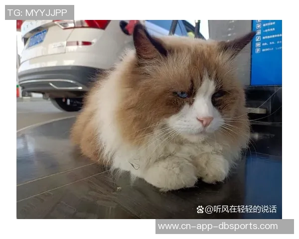 老猫回忆被火箭交易的震惊感受如同遭遇一记耳光